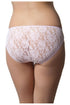 Hanky Panky Signature Lace Bikini